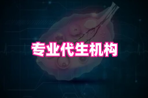 gfg孕网 2